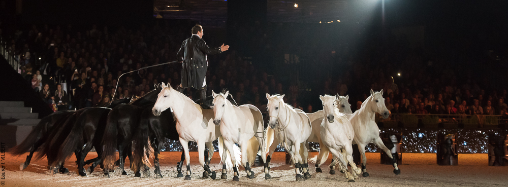 Lorenzo 20171125-0645