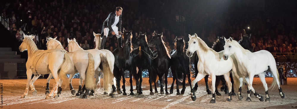 Lorenzo 20171125-0648