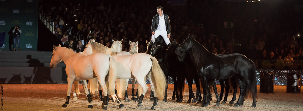 Lorenzo 20171125-0656