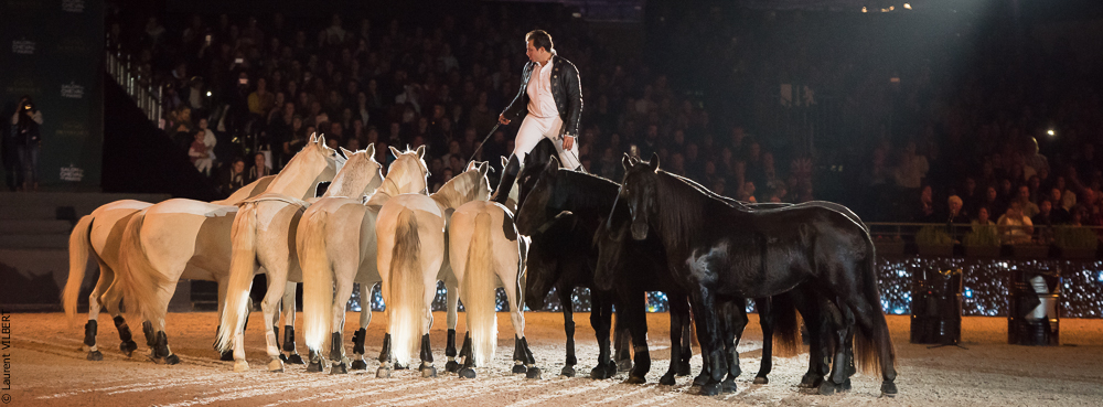 Lorenzo 20171125-0658