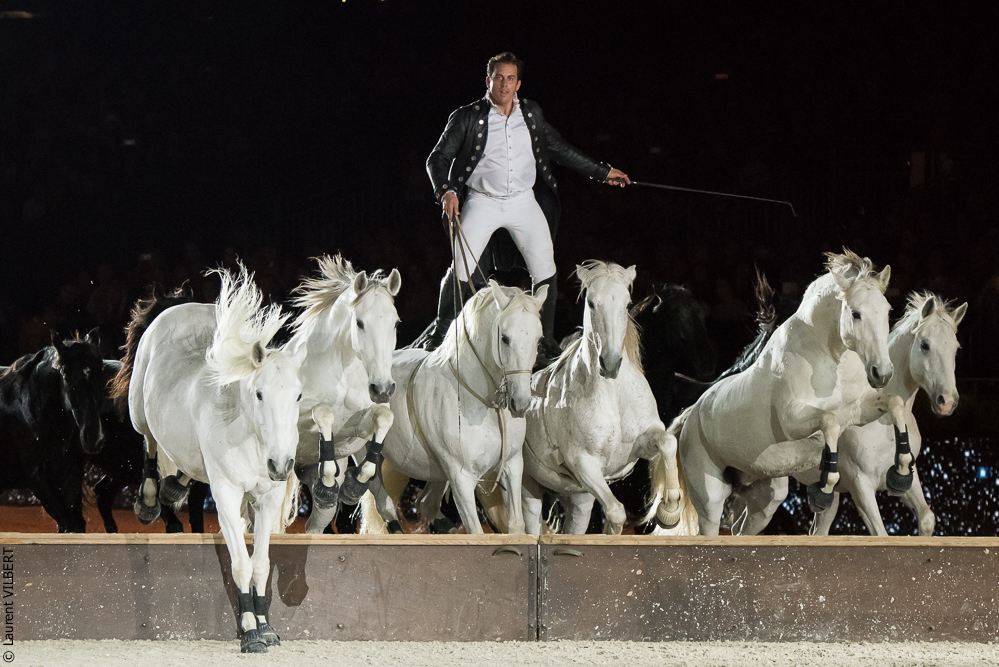 Lorenzo 20171125-0663