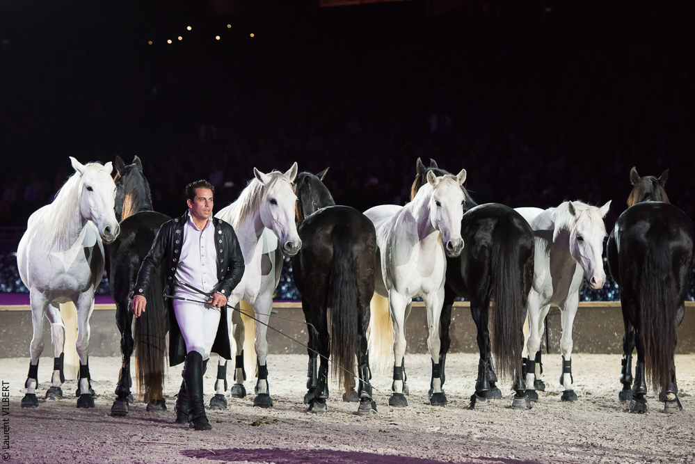 Lorenzo 20171125-0706