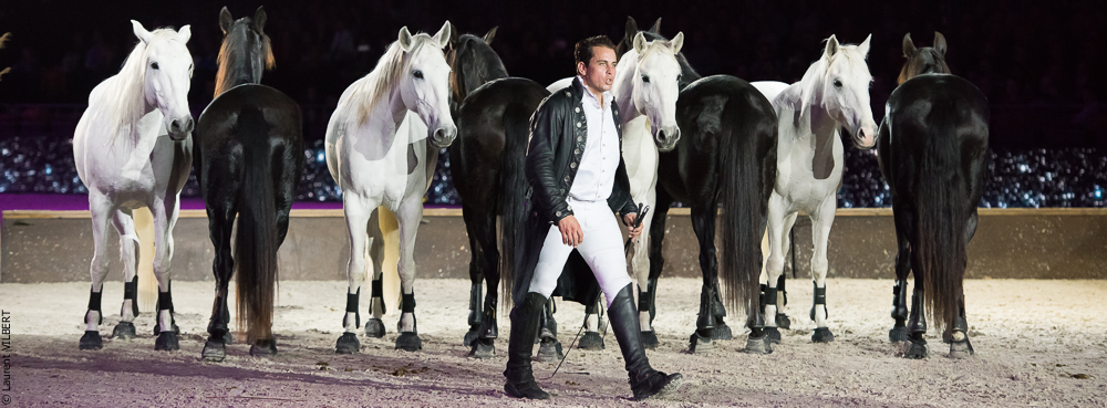 Lorenzo 20171125-0712