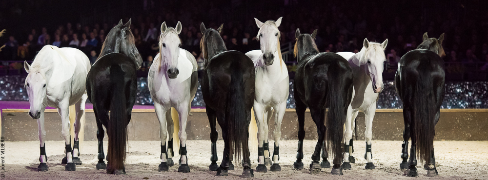 Lorenzo 20171125-0718