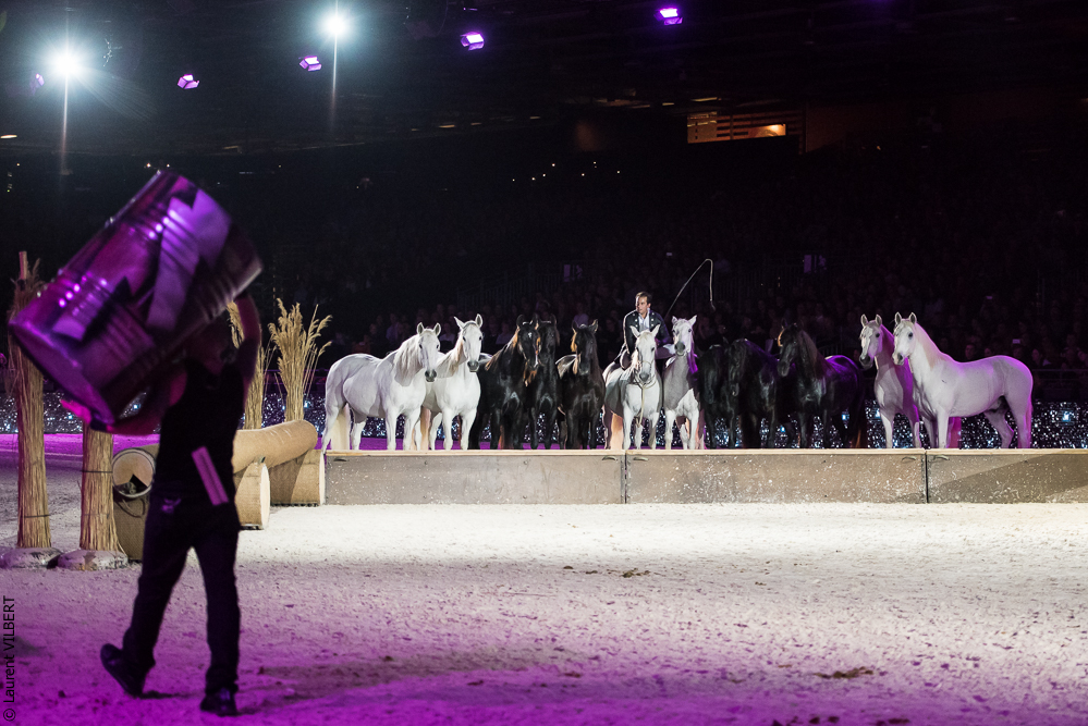 Lorenzo 20171125-0751