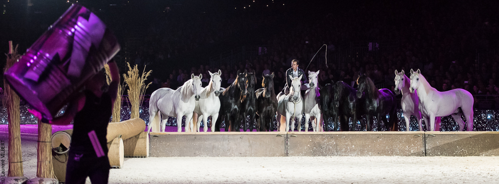 Lorenzo 20171125-0751