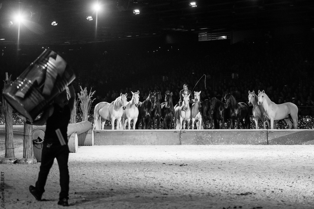 Lorenzo 20171125-0751