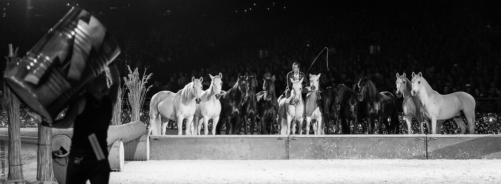 Lorenzo 20171125-0751