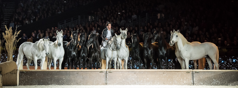 Lorenzo 20171125-0754