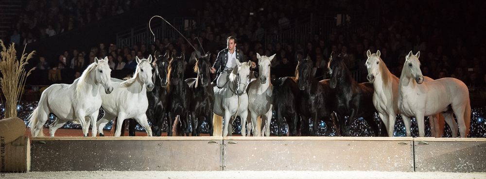 Lorenzo 20171125-0759