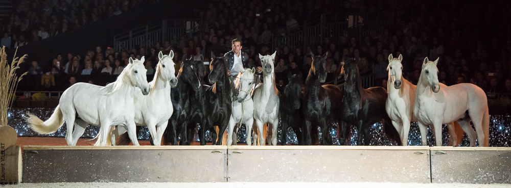 Lorenzo 20171125-0761