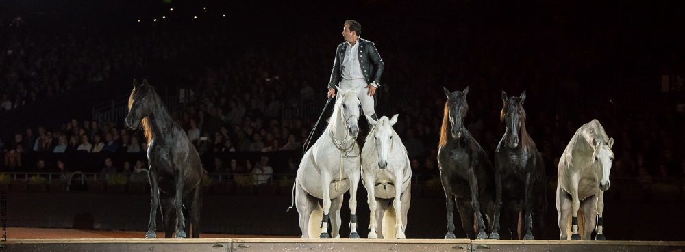 Lorenzo 20171125-0806