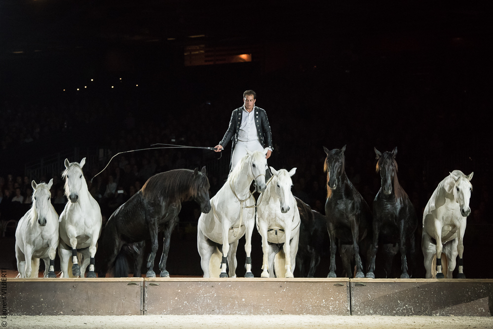 Lorenzo 20171125-0808