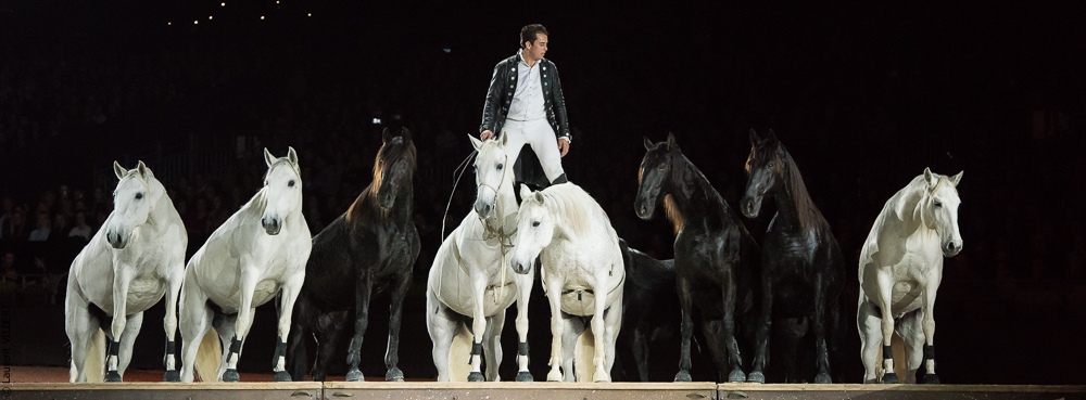 Lorenzo 20171125-0811