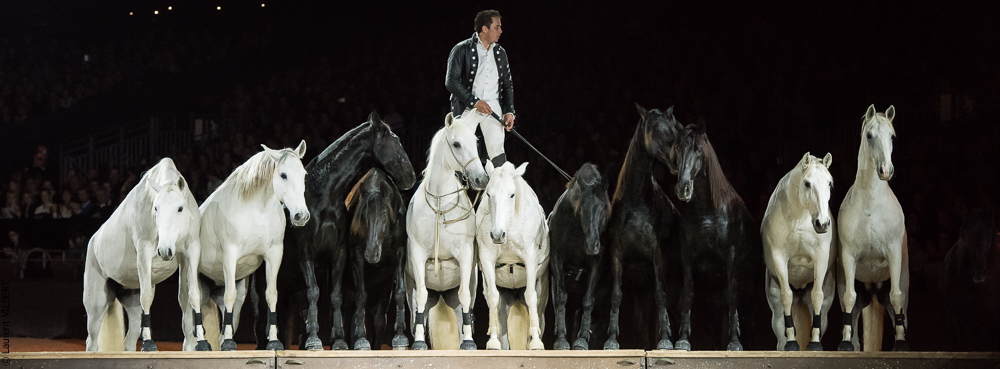 Lorenzo 20171125-0828