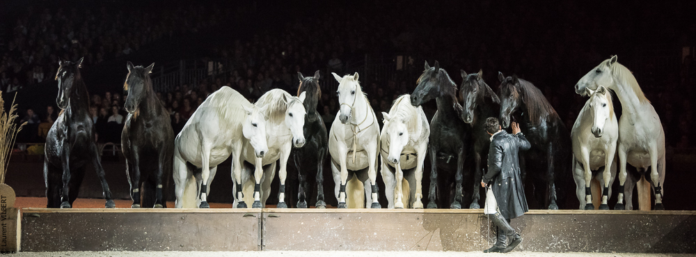 Lorenzo 20171125-0872