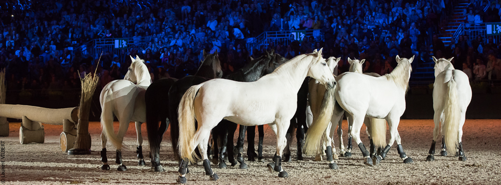 Lorenzo 20171125-0948