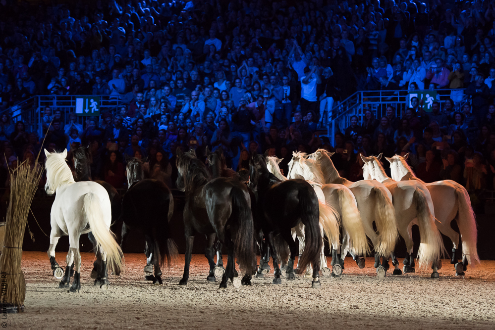 Lorenzo 20171125-0963