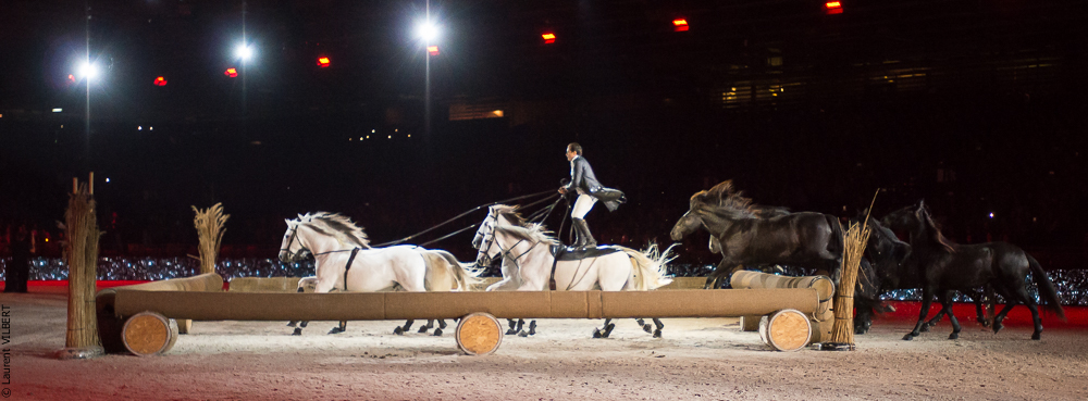 Lorenzo 20171125-1067