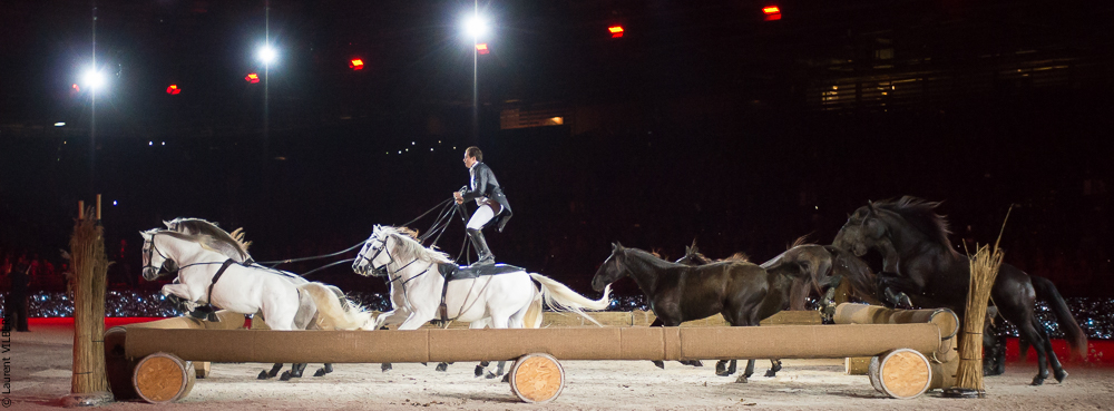 Lorenzo 20171125-1068