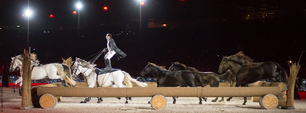 Lorenzo 20171125-1069