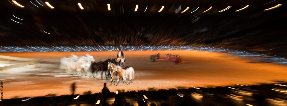 Lorenzo 20171125-1102