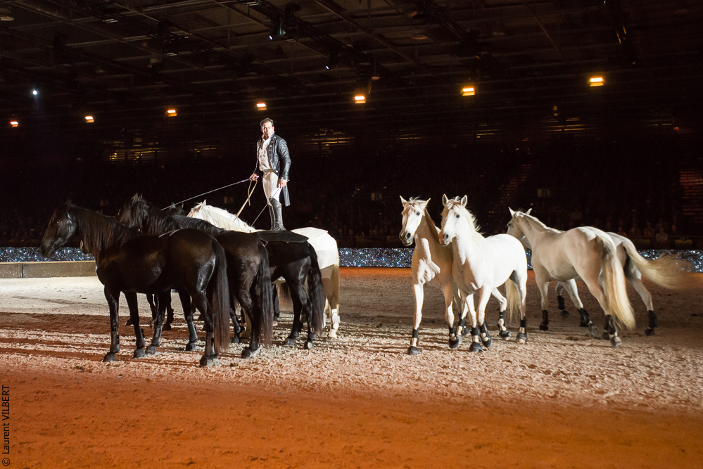 Lorenzo 20171125-1112