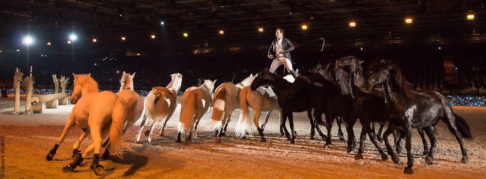 Lorenzo 20171125-1146