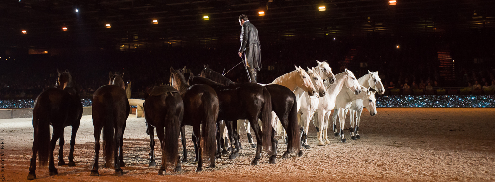 Lorenzo 20171125-1160