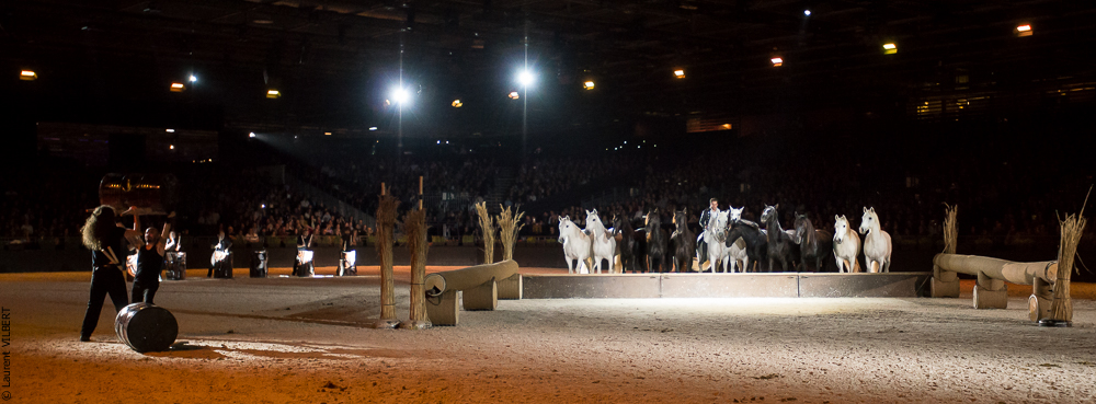 Lorenzo 20171125-1165