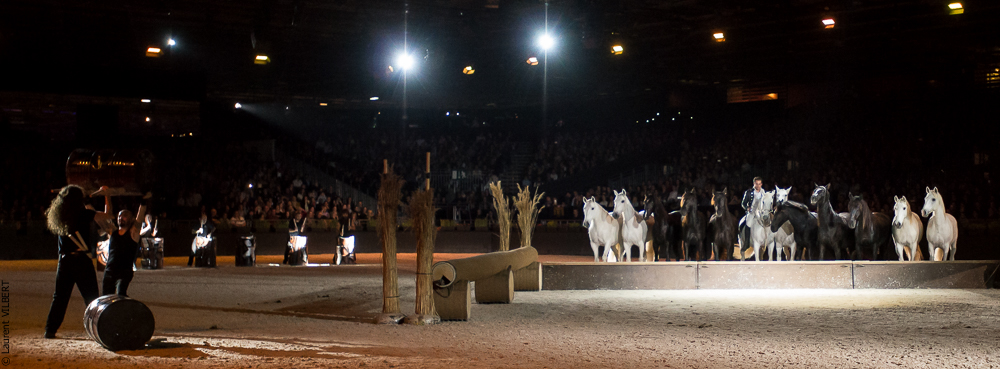 Lorenzo 20171125-1165