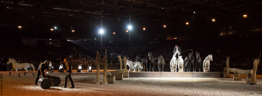 Lorenzo 20171125-1170