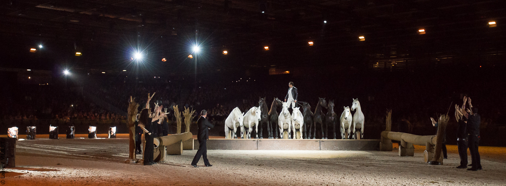 Lorenzo 20171125-1176