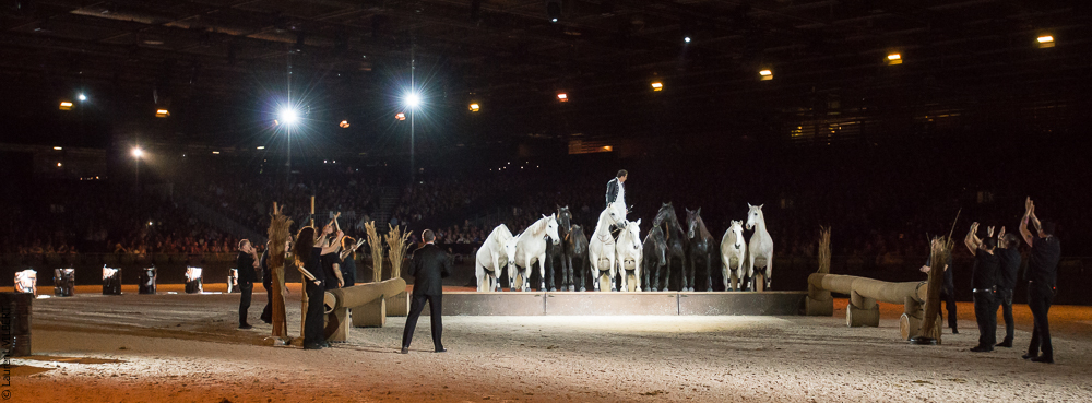Lorenzo 20171125-1179