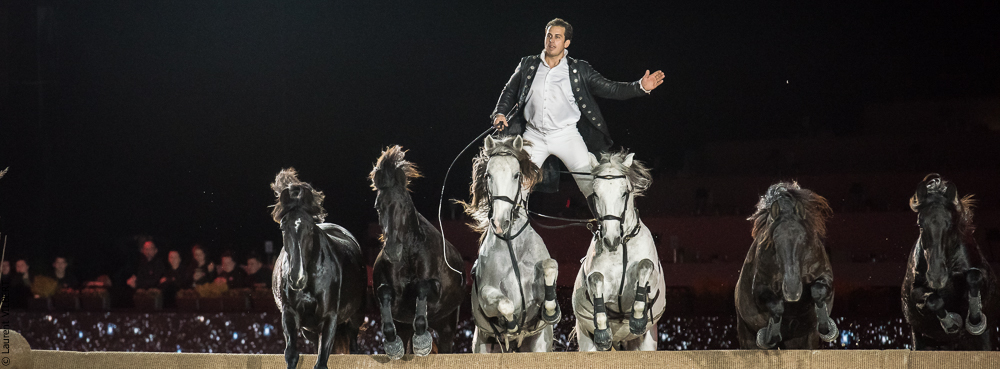 Lorenzo 20171126-1328