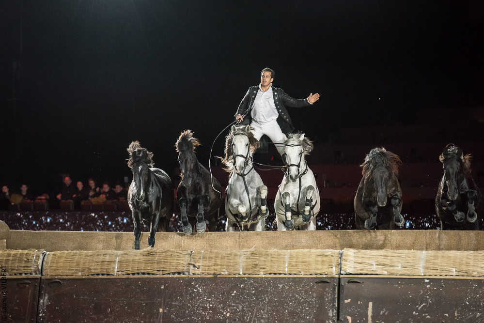 Lorenzo 20171126-1328