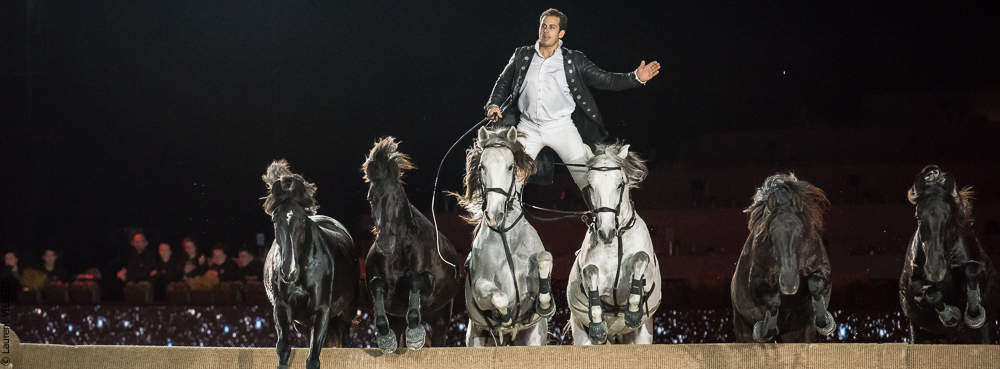 Lorenzo 20171126-1328