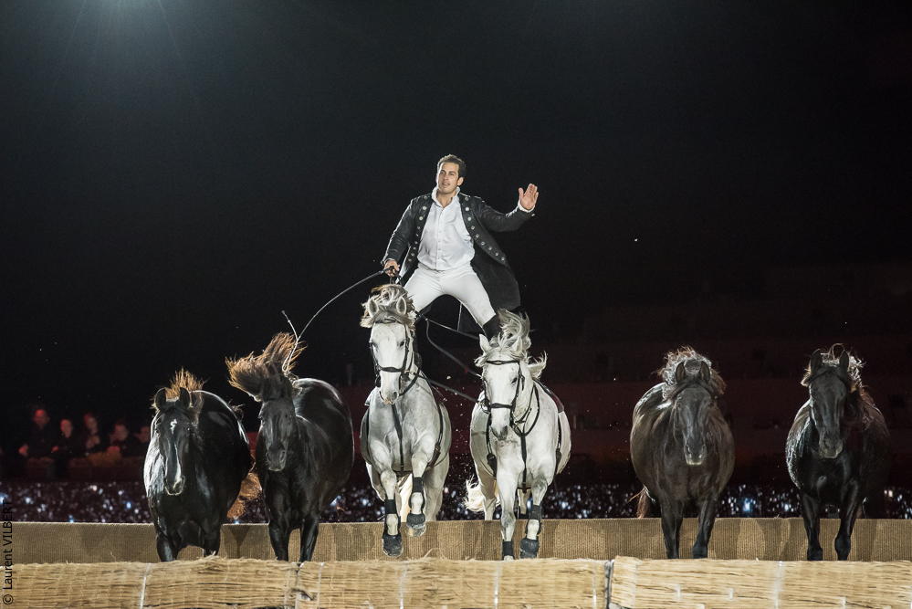 Lorenzo 20171126-1329