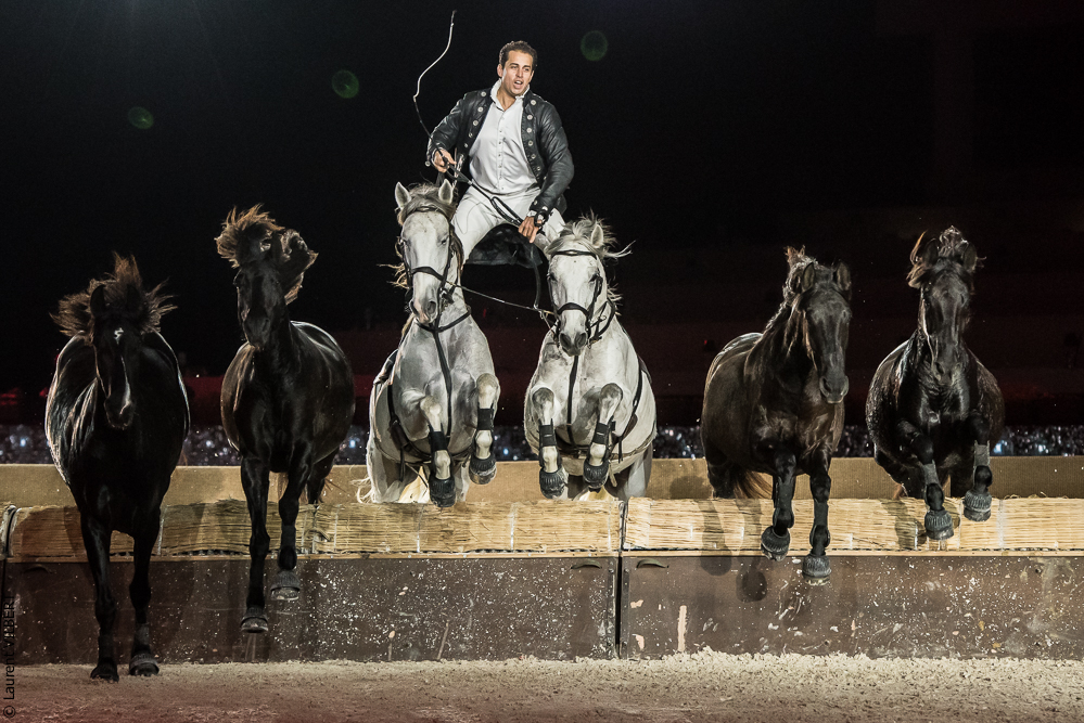 Lorenzo 20171126-1334