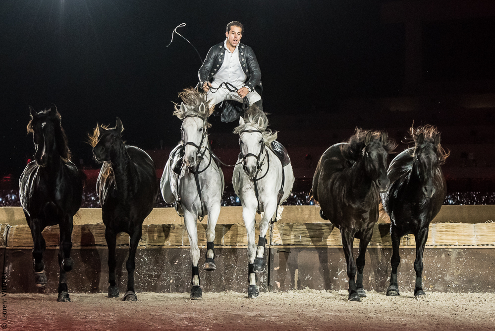 Lorenzo 20171126-1335