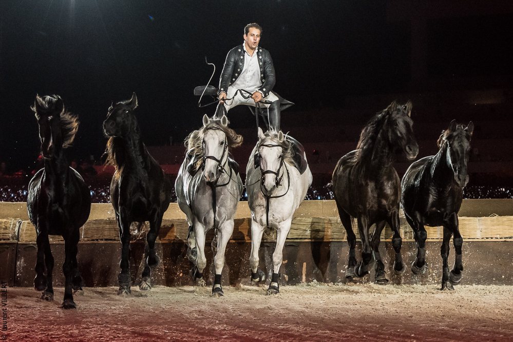 Lorenzo 20171126-1336