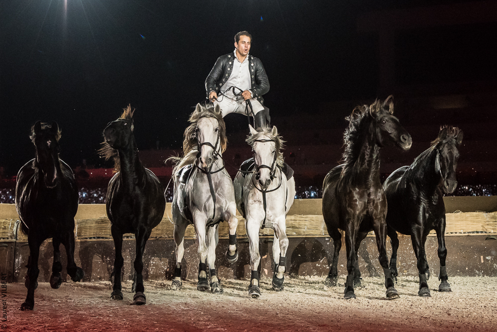 Lorenzo 20171126-1337