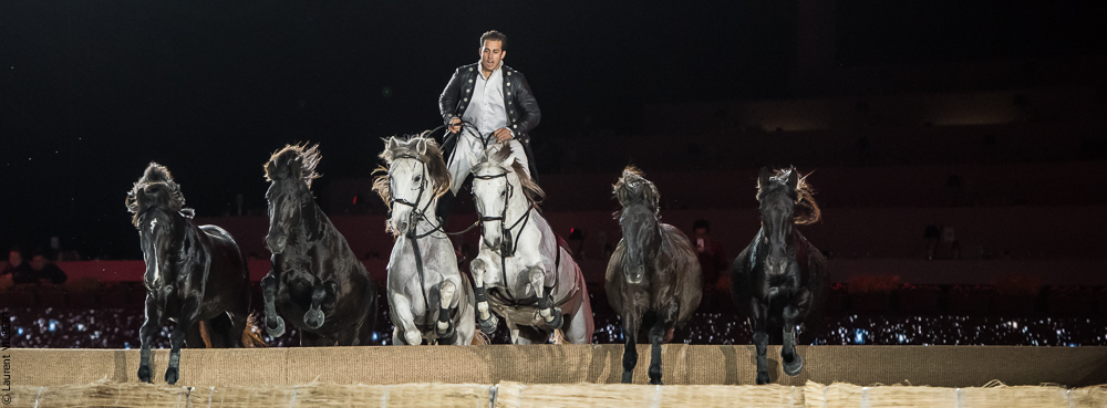 Lorenzo 20171126-1362