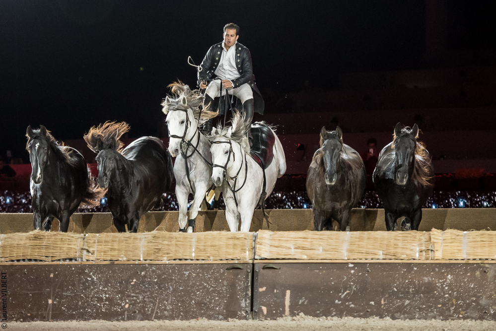 Lorenzo 20171126-1363