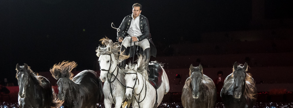 Lorenzo 20171126-1363