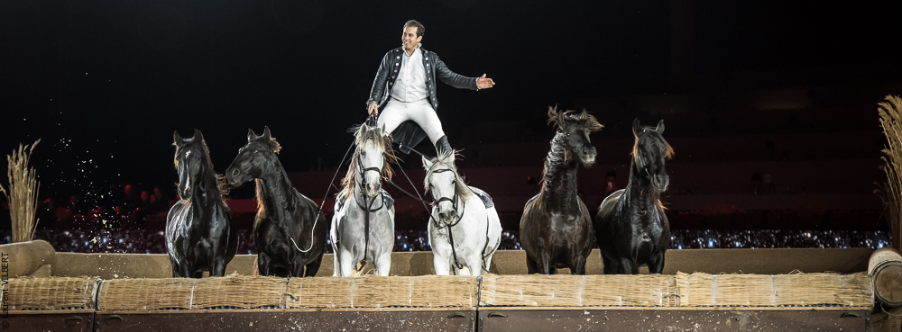 Lorenzo 20171126-1364