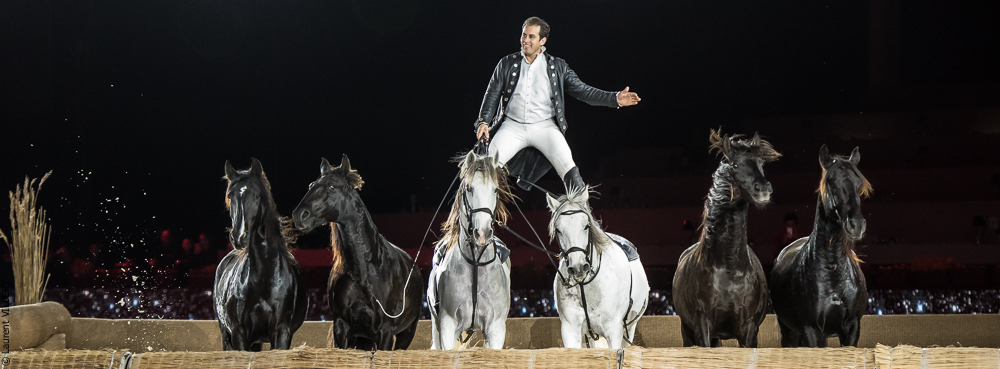 Lorenzo 20171126-1364