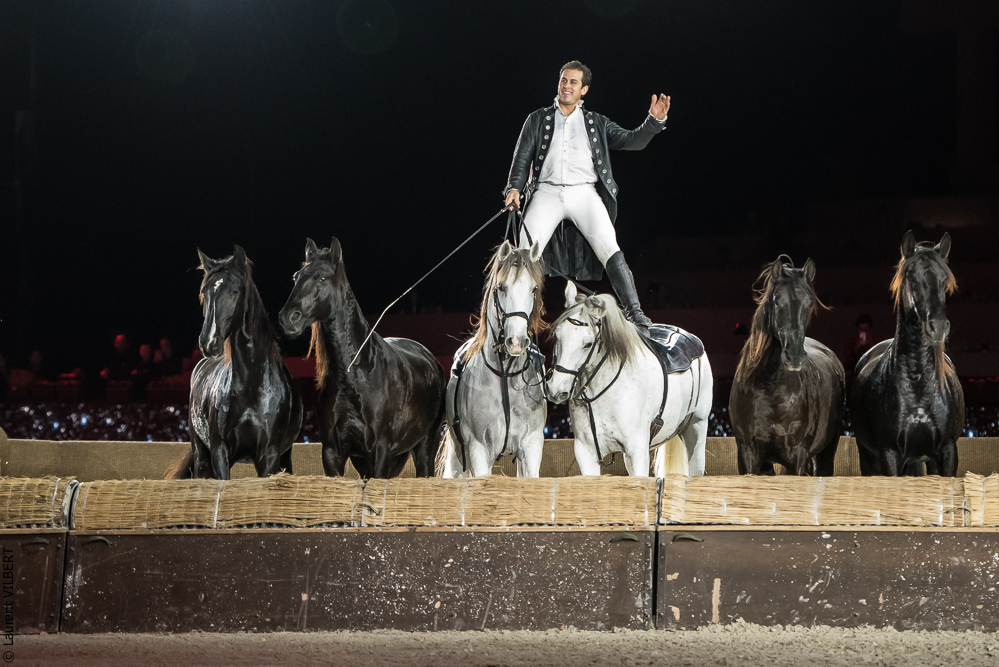 Lorenzo 20171126-1365