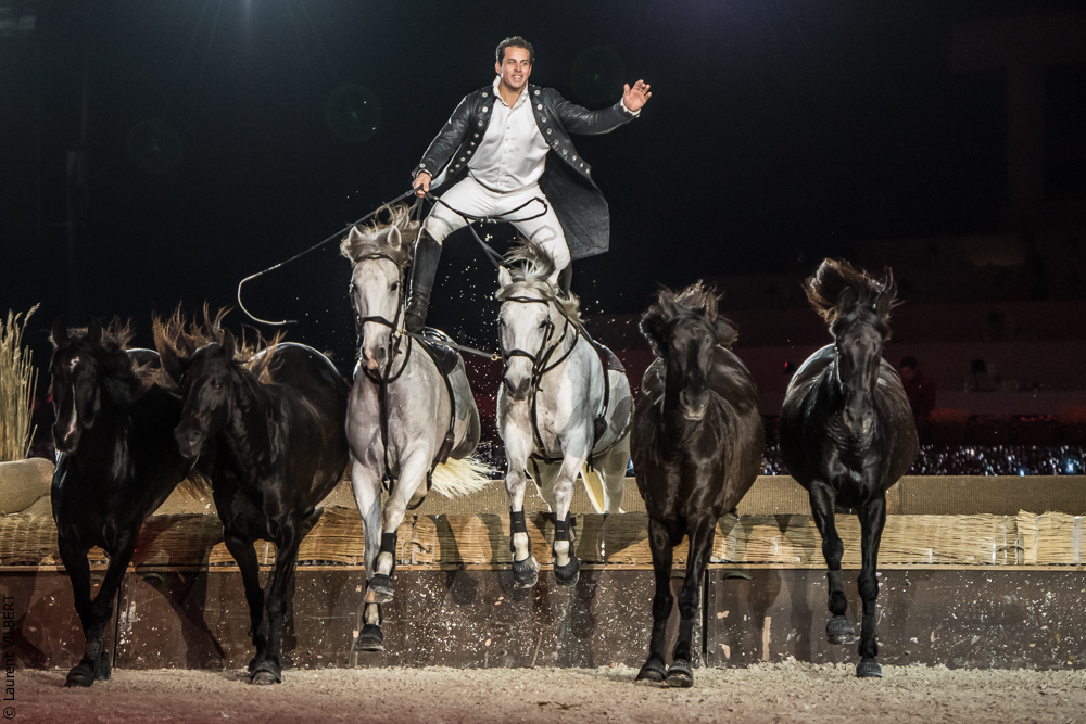 Lorenzo 20171126-1378