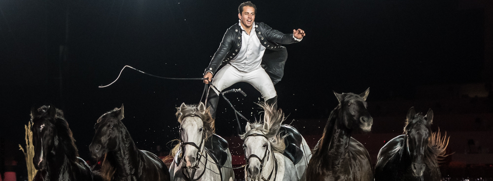 Lorenzo 20171126-1379